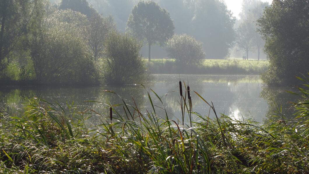 Foto: Joukje Pees 2 Nonnengat noordoevezicht vanaf pad Hampshire hotel foto Joukje Pees.jpg