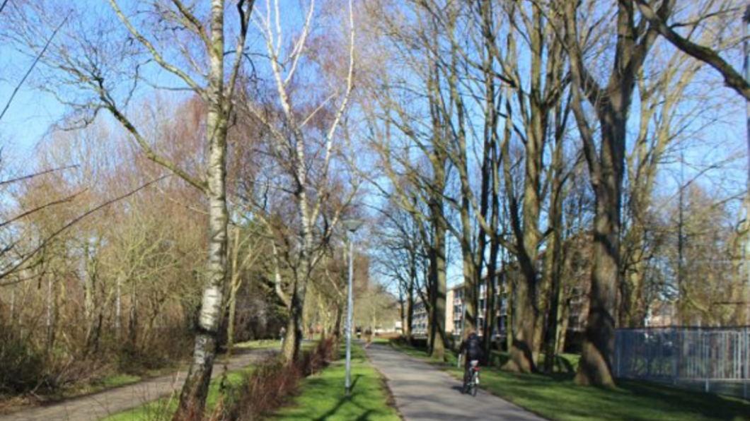 Park Selwerd.png