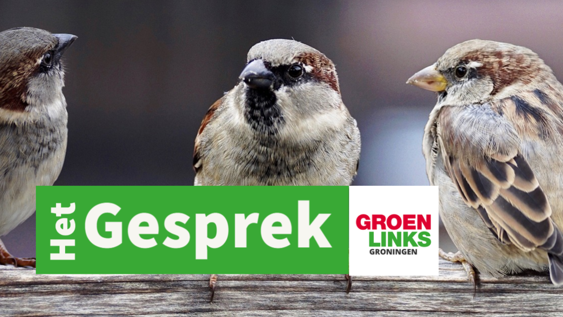 HetGesprek