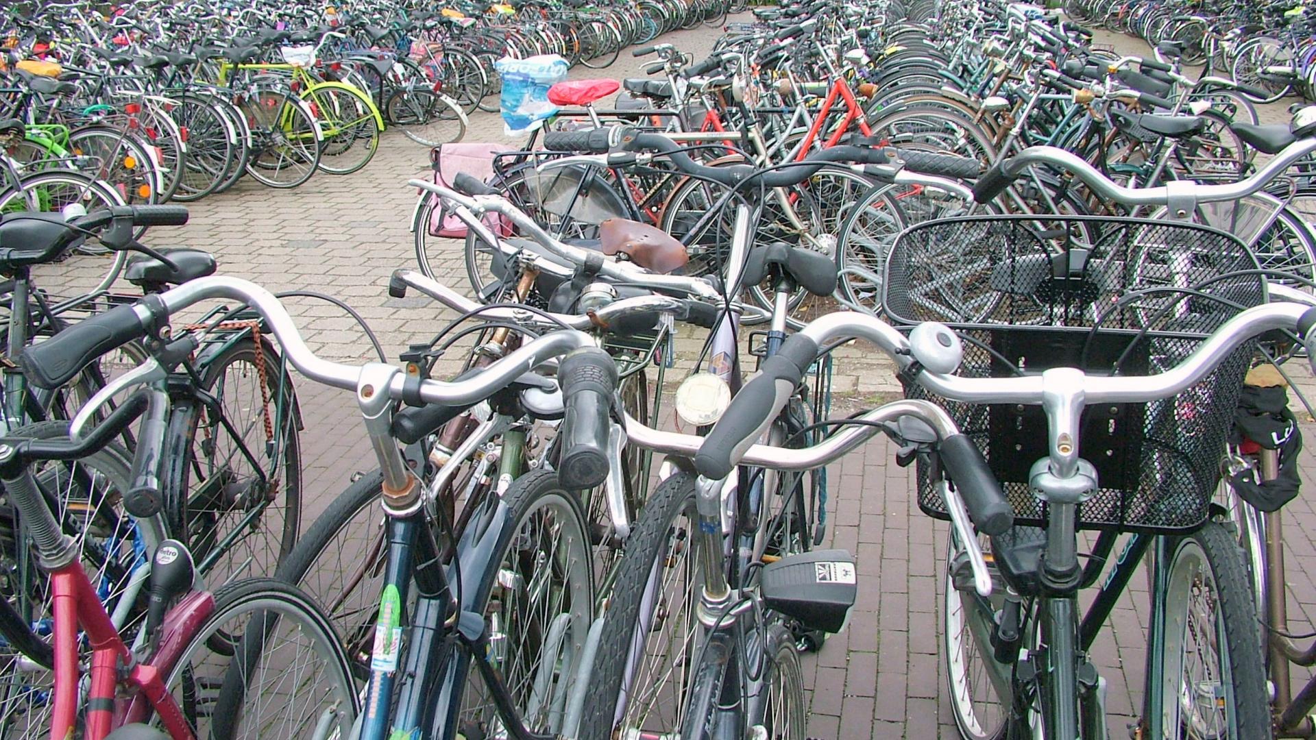 Fietsen (1).jpg