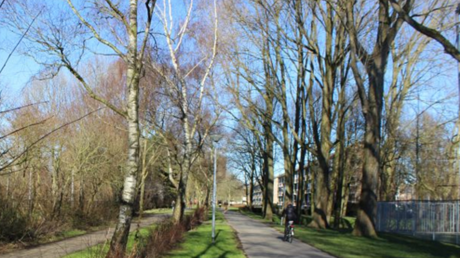 Park Selwerd.png