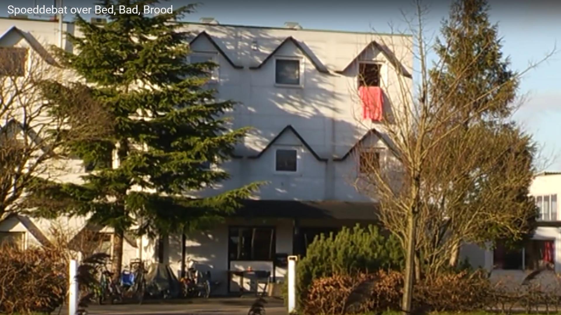 bbb-opvang.jpg