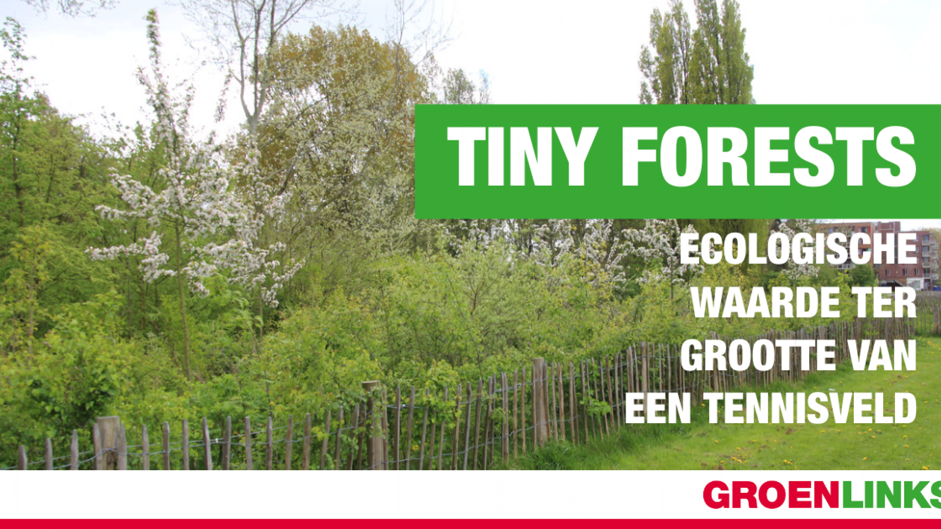 foto-groenlinks (2).png