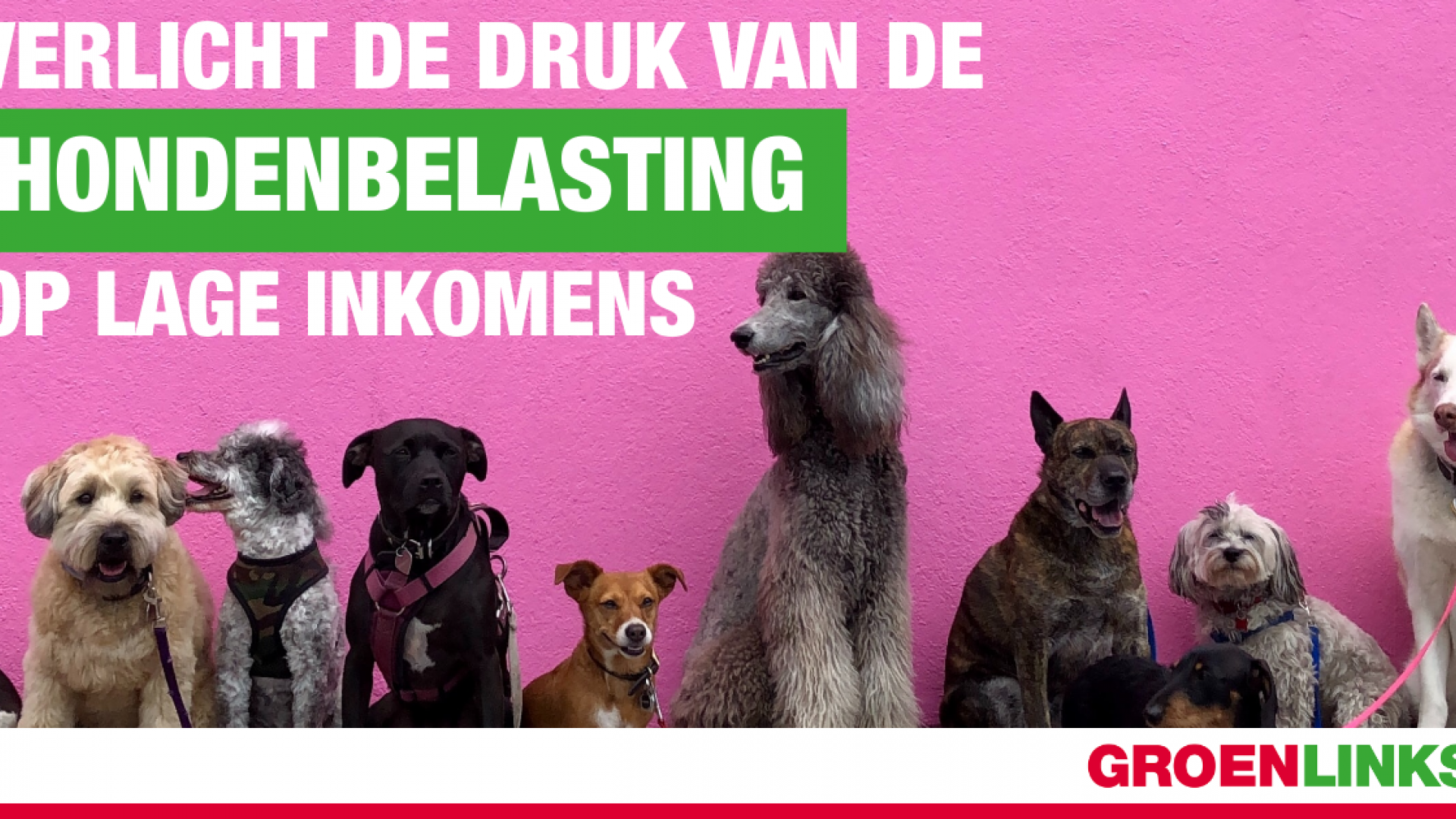foto-groenlinks (6).png