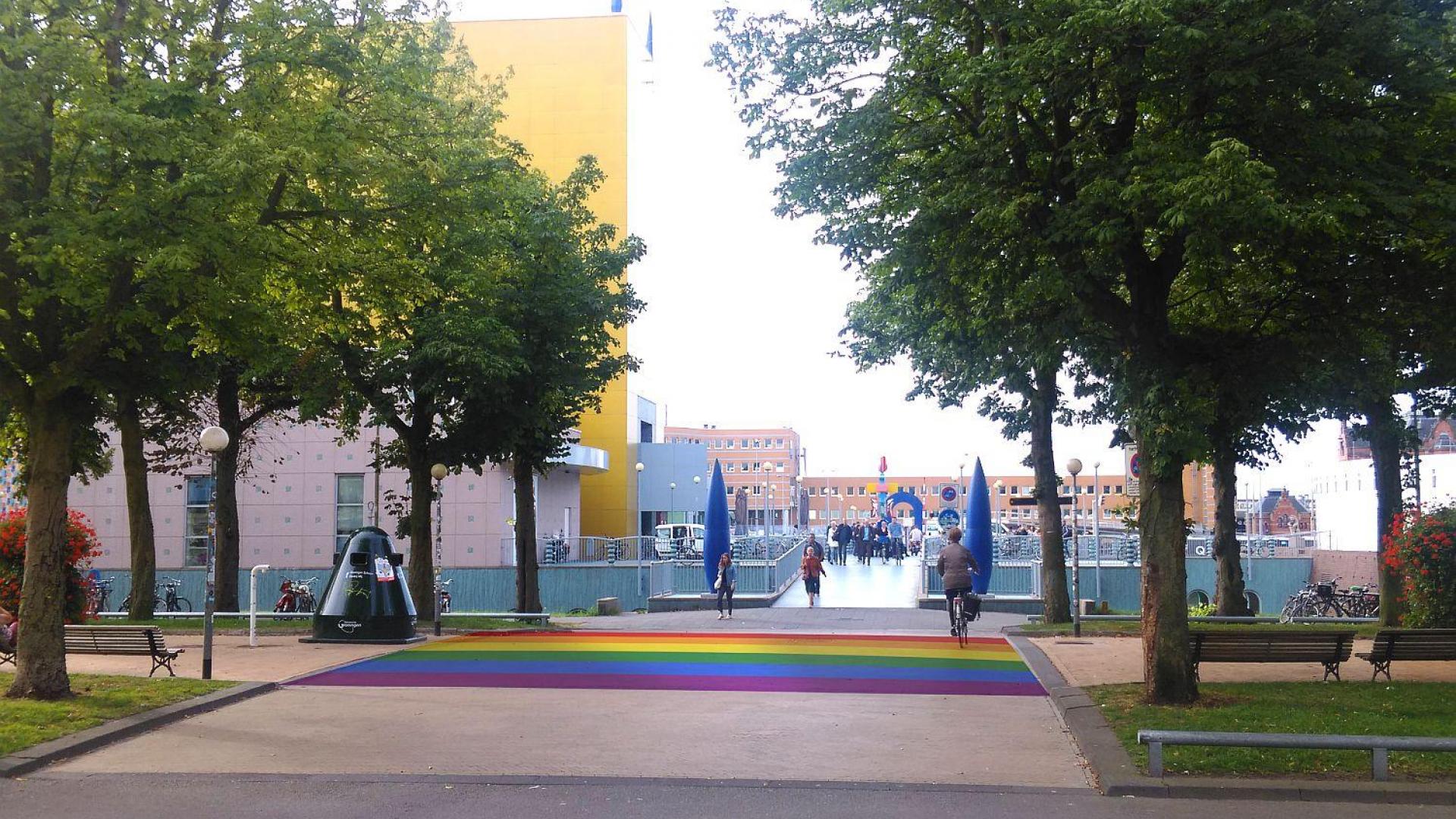 impressie_regenboogzebra.jpg